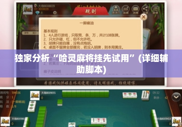 独家分析“哈灵麻将挂先试用”(详细辅助脚本)