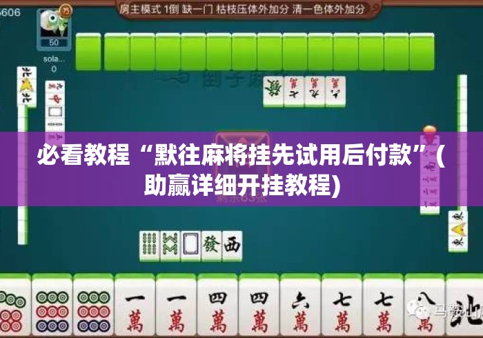 必看教程“默往麻将挂先试用后付款	”(助赢详细开挂教程)