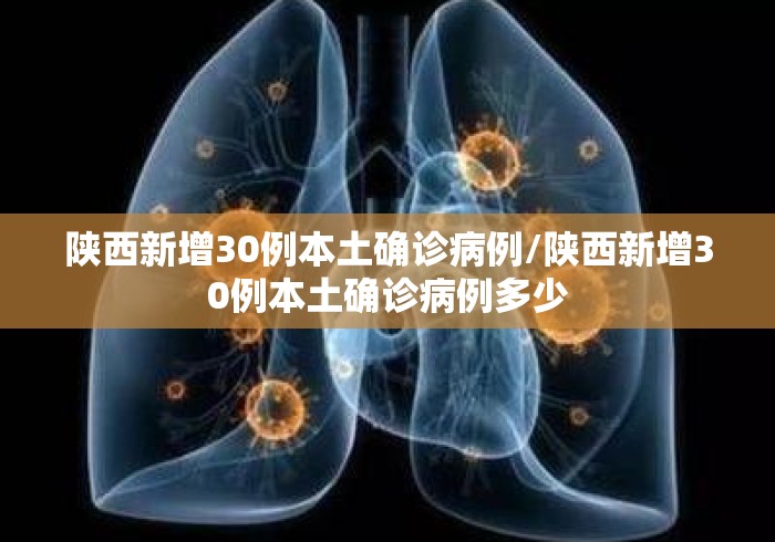陕西新增30例本土确诊病例/陕西新增30例本土确诊病例多少
