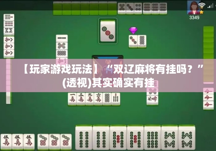 【玩家游戏玩法】“双辽麻将有挂吗？”(透视)其实确实有挂