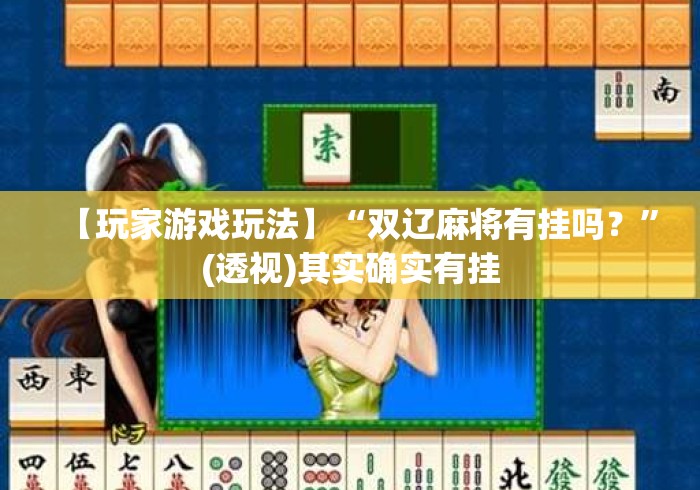 【玩家游戏玩法】“双辽麻将有挂吗？”(透视)其实确实有挂