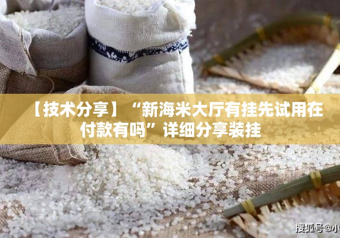 【技术分享】“新海米大厅有挂先试用在付款有吗”详细分享装挂