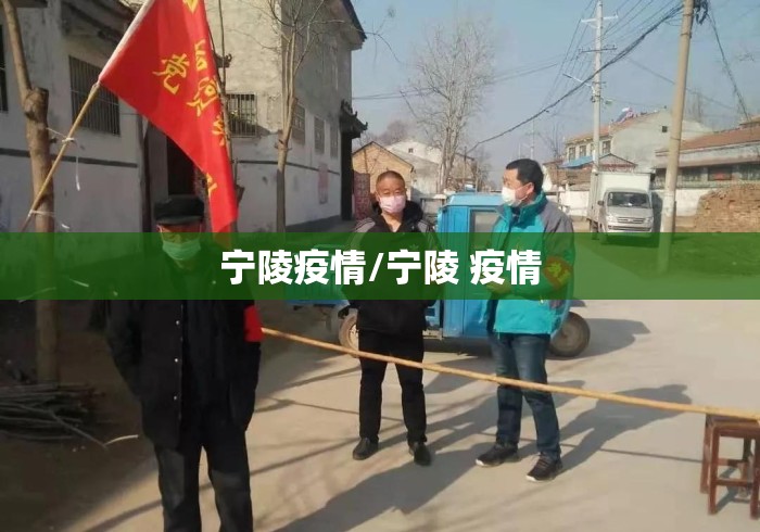宁陵疫情/宁陵 疫情