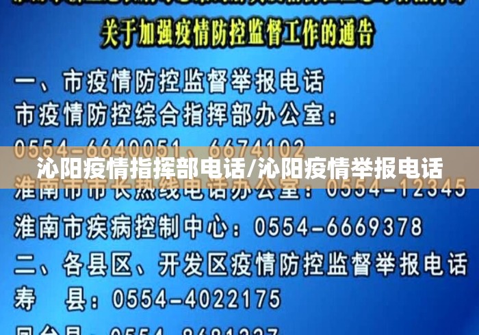沁阳疫情指挥部电话/沁阳疫情举报电话 沁阳疫情指挥部电话/沁阳疫情举报电话