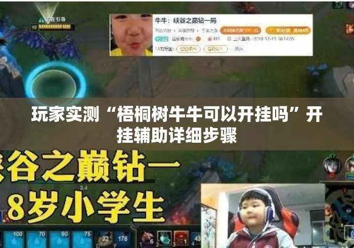 玩家实测“梧桐树牛牛可以开挂吗”开挂辅助详细步骤