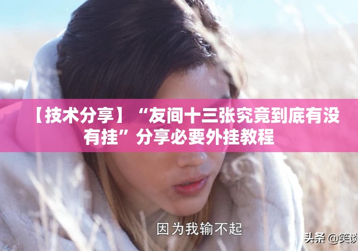 【技术分享】“友间十三张究竟到底有没有挂	”分享必要外挂教程