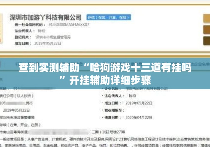 查到实测辅助“哈狗游戏十三道有挂吗”开挂辅助详细步骤