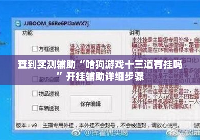 查到实测辅助“哈狗游戏十三道有挂吗”开挂辅助详细步骤