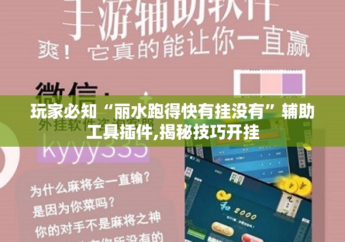 玩家必知“丽水跑得快有挂没有”辅助工具插件,揭秘技巧开挂