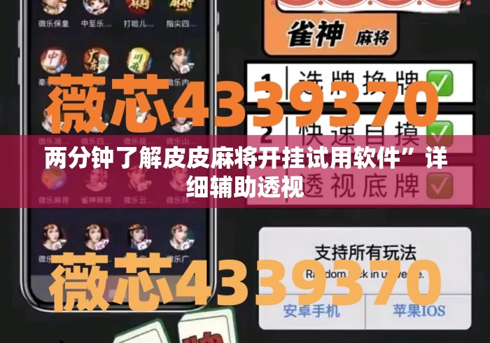 两分钟了解皮皮麻将开挂试用软件”详细辅助透视