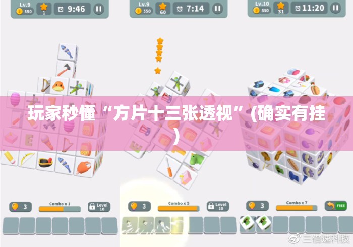 玩家秒懂“方片十三张透视”(确实有挂)