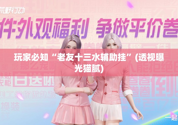 玩家必知“老友十三水辅助挂	”(透视曝光猫腻)