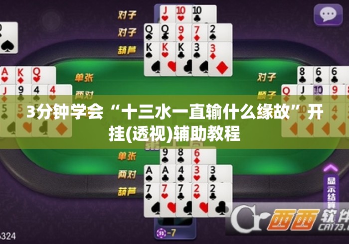 3分钟学会“十三水一直输什么缘故”开挂(透视)辅助教程