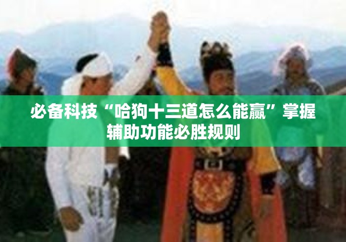 必备科技“哈狗十三道怎么能赢”掌握辅助功能必胜规则