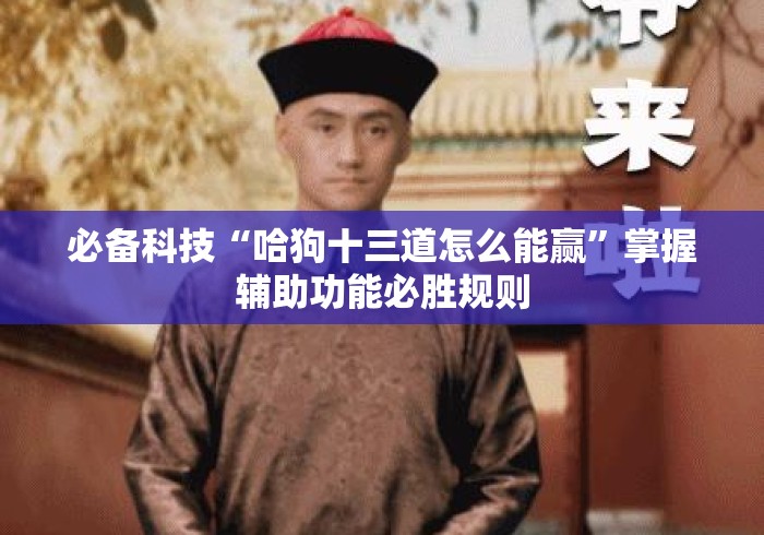 必备科技“哈狗十三道怎么能赢	”掌握辅助功能必胜规则