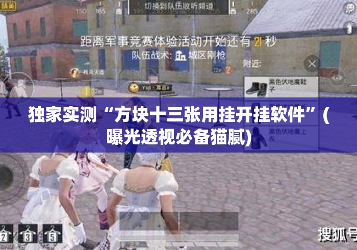 独家实测“方块十三张用挂开挂软件”(曝光透视必备猫腻)