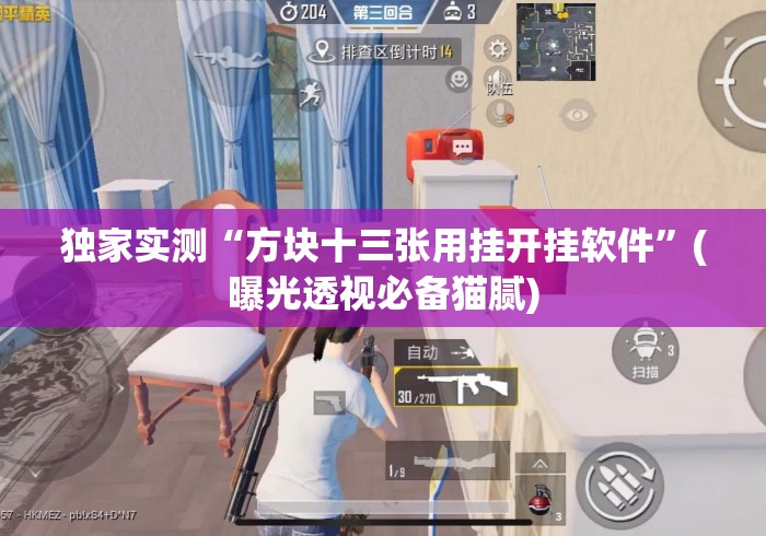 独家实测“方块十三张用挂开挂软件”(曝光透视必备猫腻)