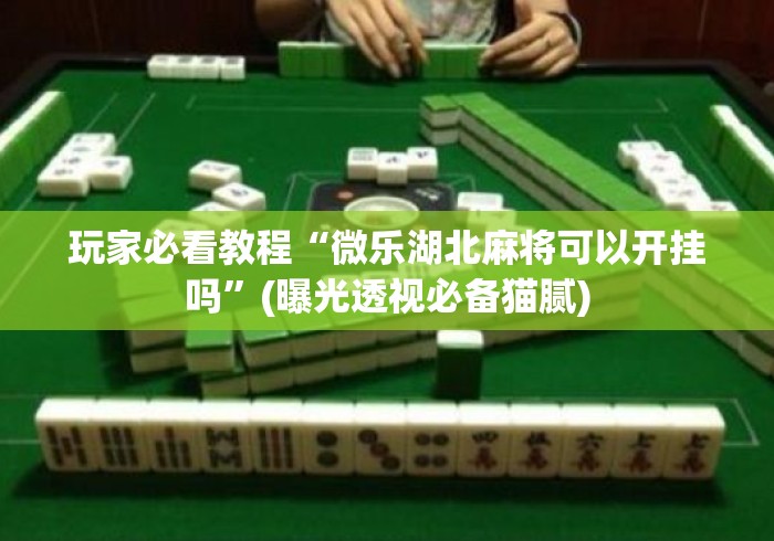 玩家必看教程“微乐湖北麻将可以开挂吗”(曝光透视必备猫腻)