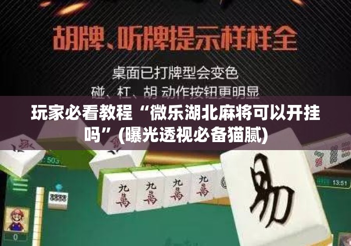 玩家必看教程“微乐湖北麻将可以开挂吗”(曝光透视必备猫腻)
