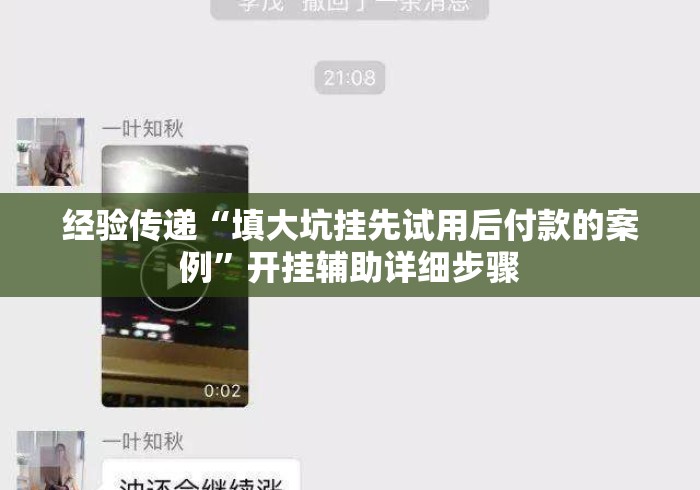经验传递“填大坑挂先试用后付款的案例”开挂辅助详细步骤