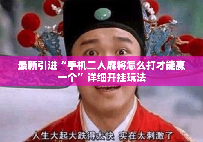 最新引进“手机二人麻将怎么打才能赢一个”详细开挂玩法