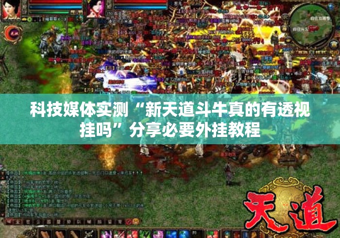 科技媒体实测“新天道斗牛真的有透视挂吗”分享必要外挂教程