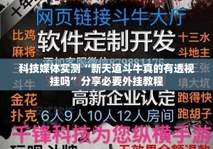 科技媒体实测“新天道斗牛真的有透视挂吗”分享必要外挂教程