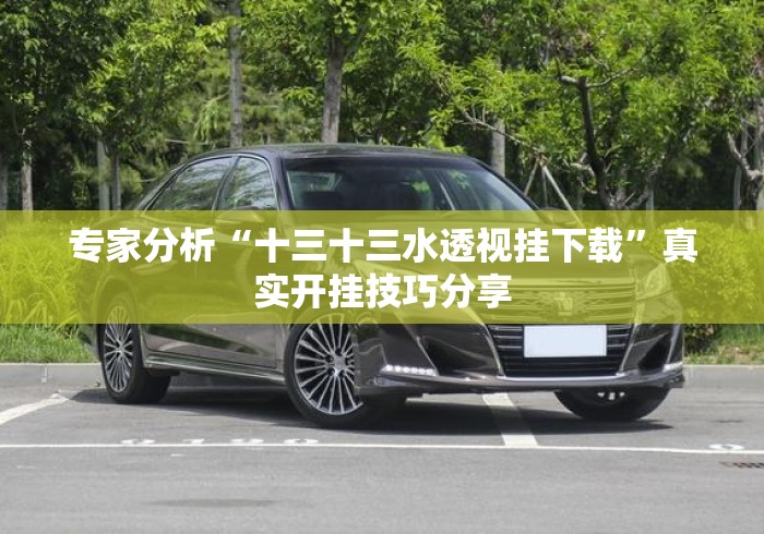 专家分析“十三十三水透视挂下载	”真实开挂技巧分享