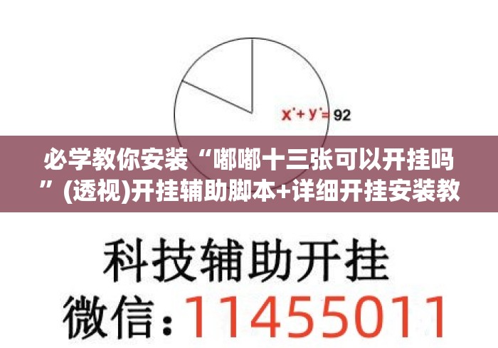必学教你安装“嘟嘟十三张可以开挂吗”(透视)开挂辅助脚本+详细开挂安装教程