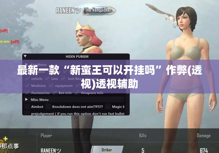 最新一款“新蛮王可以开挂吗”作弊(透视)透视辅助