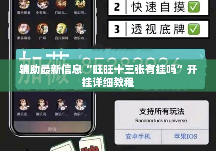 辅助最新信息“旺旺十三张有挂吗	”开挂详细教程