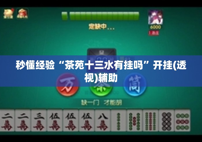 秒懂经验“茶苑十三水有挂吗	”开挂(透视)辅助