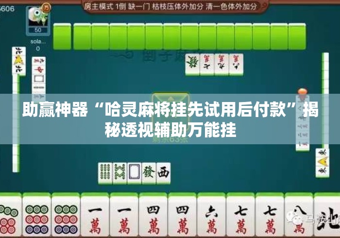 助赢神器“哈灵麻将挂先试用后付款”揭秘透视辅助万能挂
