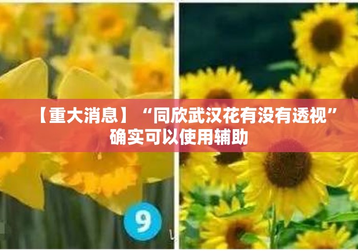 【重大消息】“同欣武汉花有没有透视”确实可以使用辅助