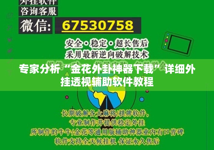 专家分析“金花外卦神器下载”详细外挂透视辅助软件教程