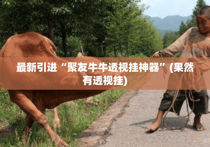 最新引进“聚友牛牛透视挂神器”(果然有透视挂)
