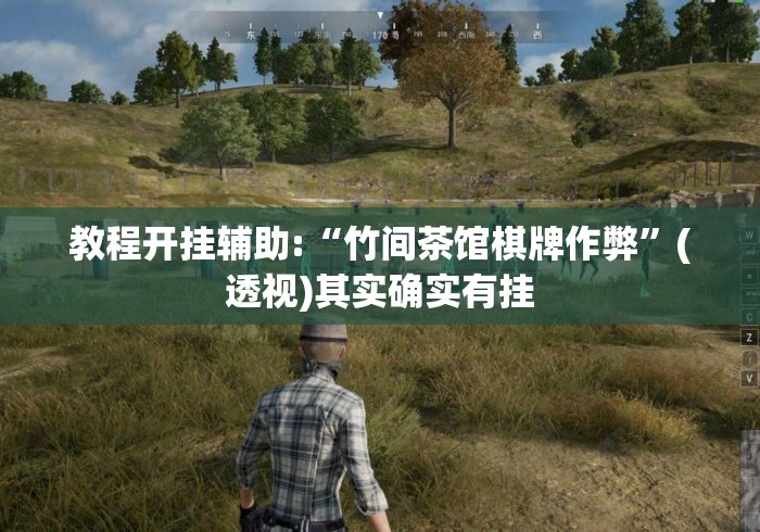 教程开挂辅助:“竹间茶馆棋牌作弊	”(透视)其实确实有挂