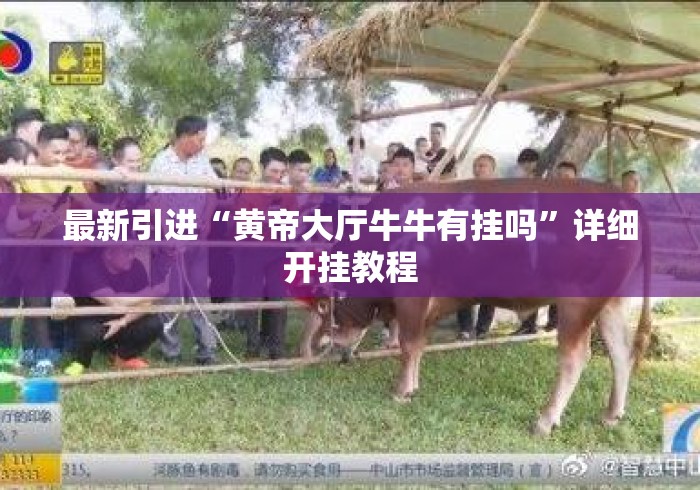 最新引进“黄帝大厅牛牛有挂吗”详细开挂教程