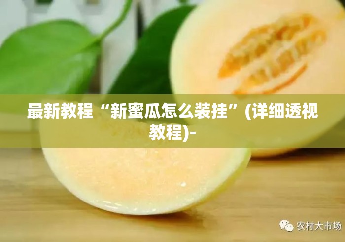 最新教程“新蜜瓜怎么装挂”(详细透视教程)-