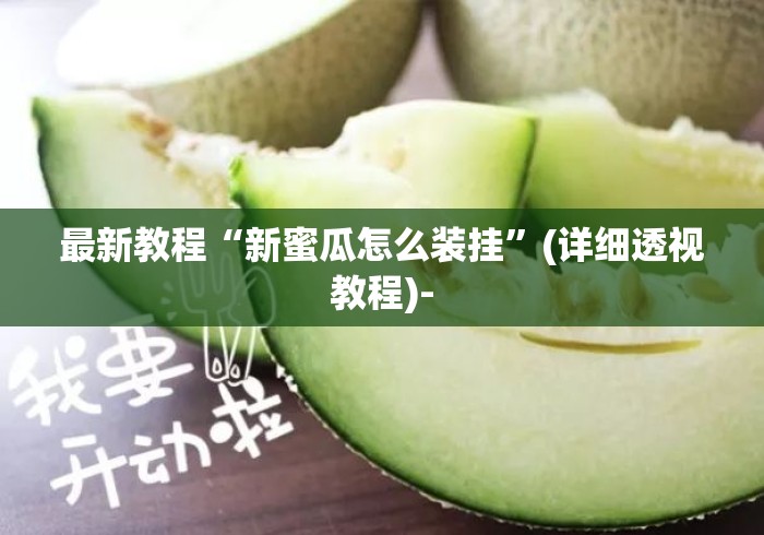 最新教程“新蜜瓜怎么装挂”(详细透视教程)-