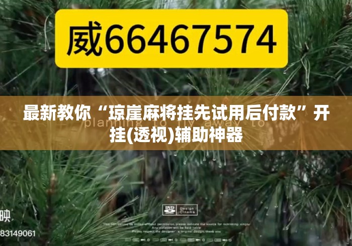 最新教你“琼崖麻将挂先试用后付款	”开挂(透视)辅助神器