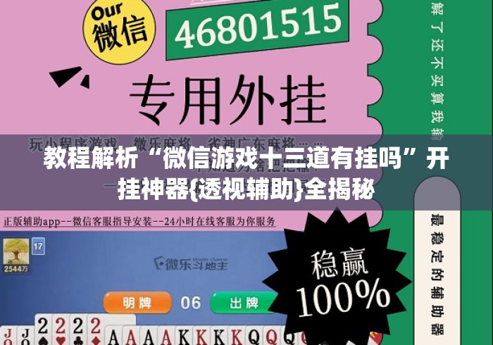 教程解析“微信游戏十三道有挂吗”开挂神器{透视辅助}全揭秘