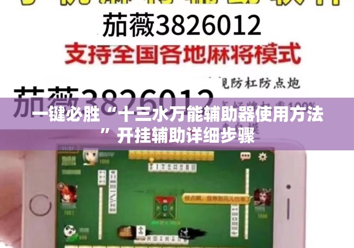 一键必胜“十三水万能辅助器使用方法”开挂辅助详细步骤