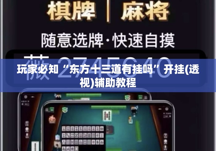 玩家必知“东方十三道有挂吗”开挂(透视)辅助教程