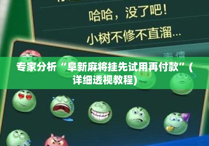 专家分析“阜新麻将挂先试用再付款”(详细透视教程)