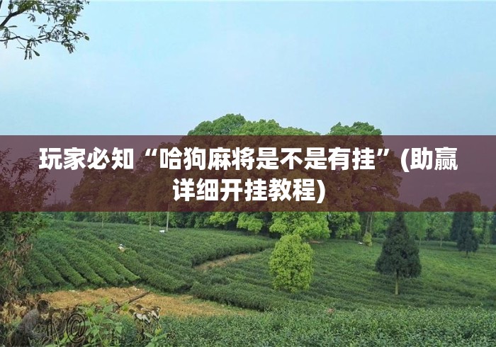 玩家必知“哈狗麻将是不是有挂	”(助赢详细开挂教程)