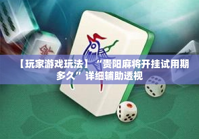 【玩家游戏玩法】“贵阳麻将开挂试用期多久	”详细辅助透视