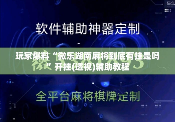 玩家爆料“微乐湖南麻将到底有挂是吗”开挂(透视)辅助教程
