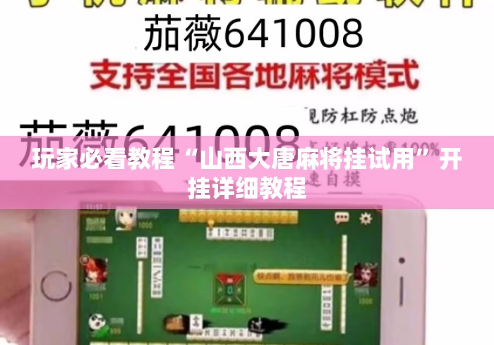 玩家必看教程“山西大唐麻将挂试用”开挂详细教程