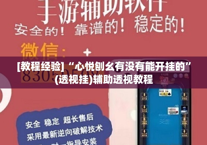 [教程经验]“心悦刨幺有没有能开挂的”(透视挂)辅助透视教程